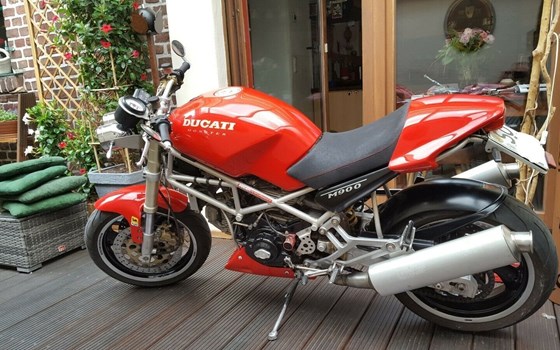 Gebrauchtmotorrad Ducati Monster 900 - Bild 3