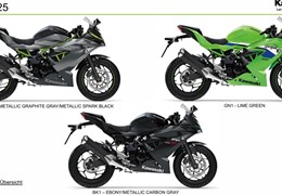 Neumotorrad Kawasaki Ninja 125