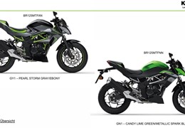 Neumotorrad Kawasaki Z125