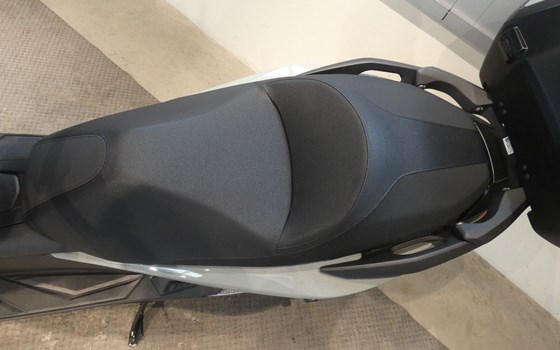 Neufahrzeug Honda Forza 125 - Bild 8