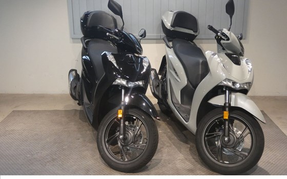 Neufahrzeug Honda SH150i - Bild 1