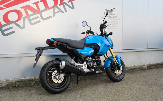 Neufahrzeug Honda MSX 125 - Bild 5