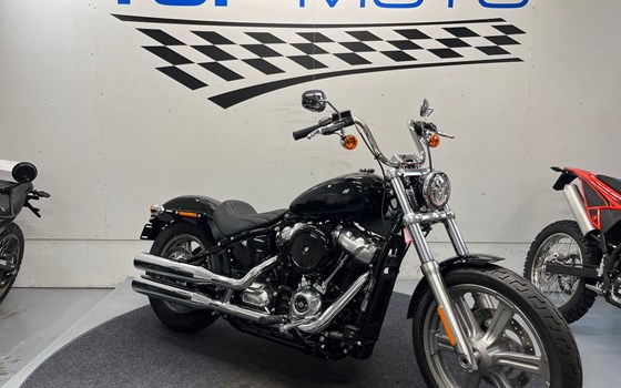 Neufahrzeug Harley-Davidson Softail Street Bob FXBB - Bild 1