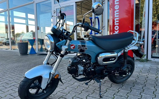 Gebrauchtmotorrad Honda Dax 125 - Bild 1