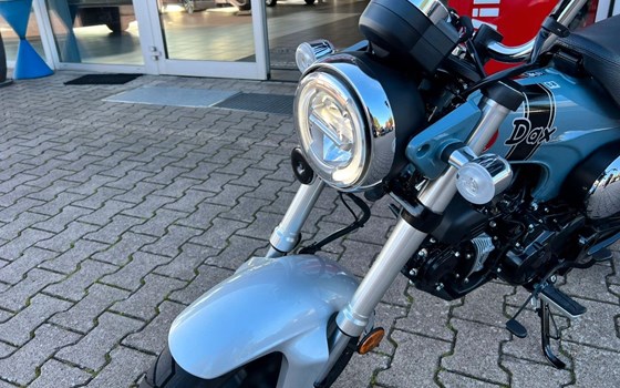 Gebrauchtmotorrad Honda Dax 125 - Bild 9
