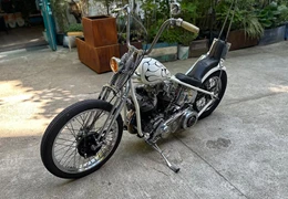 Gebrauchte Harley-Davidson FLH 1200 Gebrauchte Harley-Davidson FLH 1200