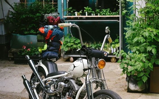 Gebrauchtmotorrad Harley-Davidson FLH 1200 - Bild 6 Gebrauchtmotorrad Harley-Davidson FLH 1200 - Bild 6