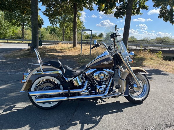 Gebrauchtmotorrad Harley-Davidson Softail Deluxe FLSTN