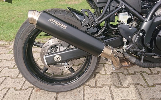 Gebrauchtmotorrad Suzuki SV650X - Bild 10