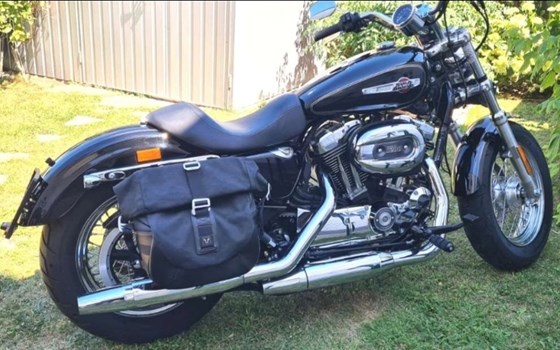 Gebrauchtmotorrad Harley-Davidson Sportster XL 1200C Custom - Bild 1 Gebrauchtmotorrad Harley-Davidson Sportster XL 1200C Custom - Bild 1