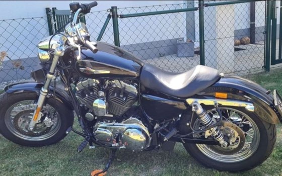 Gebrauchtmotorrad Harley-Davidson Sportster XL 1200C Custom - Bild 2