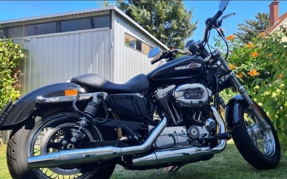 Gebrauchtmotorrad Harley-Davidson Sportster XL 1200C Custom - Bild 3 Gebrauchtmotorrad Harley-Davidson Sportster XL 1200C Custom - Bild 3