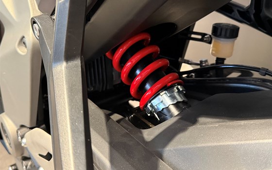 Neufahrzeug Triumph Daytona 660 - Bild 7