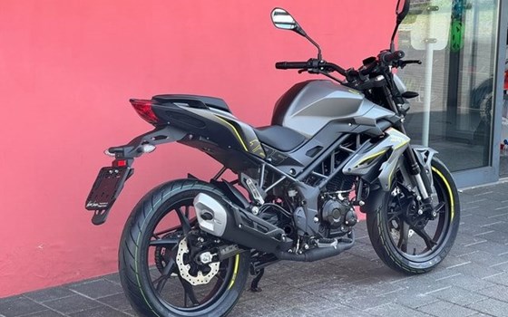 Neufahrzeug Benelli BN 125 - Bild 16