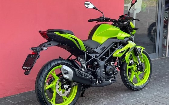 Neufahrzeug Benelli BN 125 - Bild 6