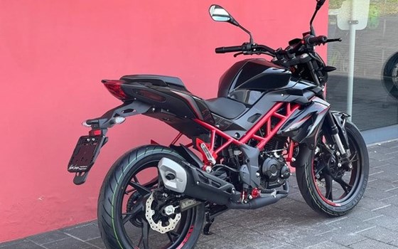 Neufahrzeug Benelli BN 125 - Bild 7