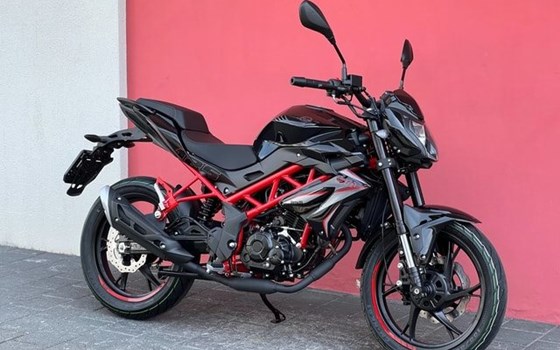 Neufahrzeug Benelli BN 125 - Bild 9