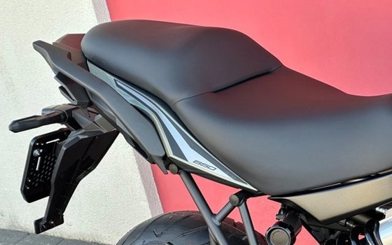 Neufahrzeug Kawasaki Versys 650 - Bild 12