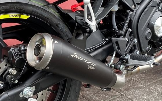 Neufahrzeug Benelli Leoncino 125 - Bild 13