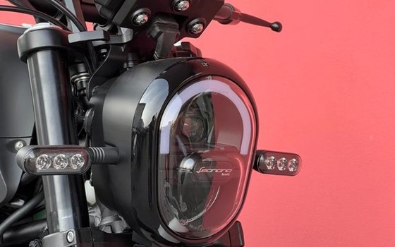 Neufahrzeug Benelli Leoncino 125 - Bild 15