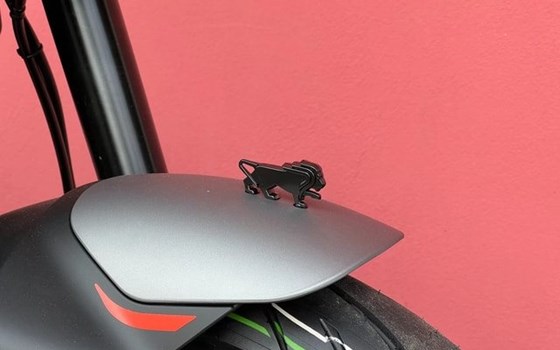 Neufahrzeug Benelli Leoncino 125 - Bild 7