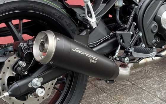 Neufahrzeug Benelli Leoncino 125 - Bild 11