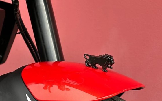 Neufahrzeug Benelli Leoncino 125 - Bild 6