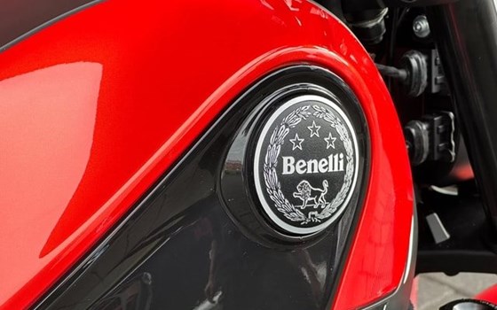 Neufahrzeug Benelli Leoncino 125 - Bild 8