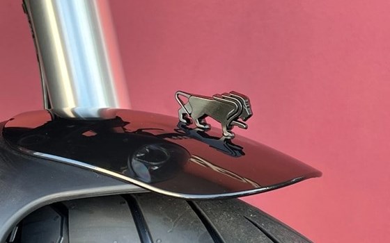 Neufahrzeug Benelli Leoncino 500 - Bild 2