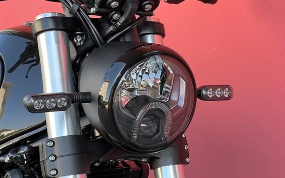 Neufahrzeug Benelli Leoncino 500 - Bild 9