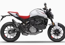 Neumotorrad Ducati Monster