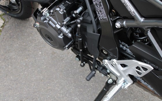 Neufahrzeug Suzuki GSX-8S - Bild 6