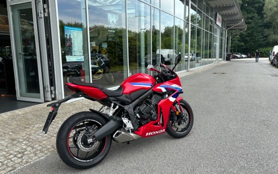 Neufahrzeug Honda CBR650R - Bild 5