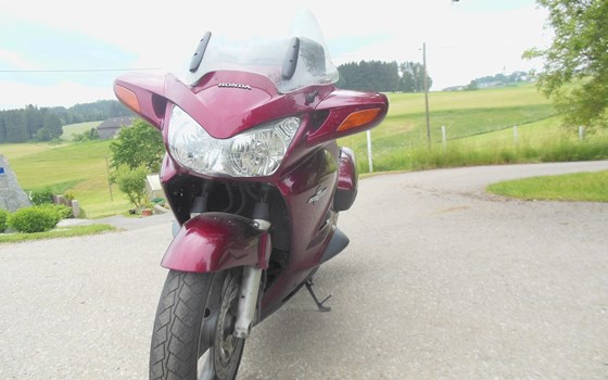 Gebrauchtmotorrad Honda ST 1300 Pan-European - Bild 2 Gebrauchtmotorrad Honda ST 1300 Pan-European - Bild 2