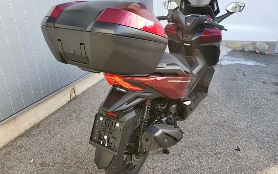 Gebrauchtmotorrad Honda Forza 350 - Bild 3 Gebrauchtmotorrad Honda Forza 350 - Bild 3