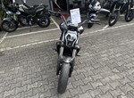 Angebot Benelli 502 C