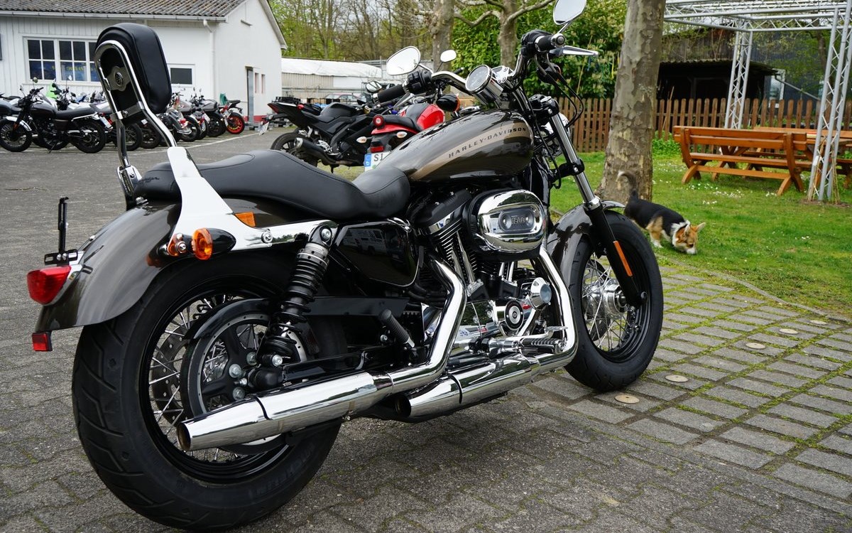 Angebot Harley-Davidson Sportster XL 1200C Custom