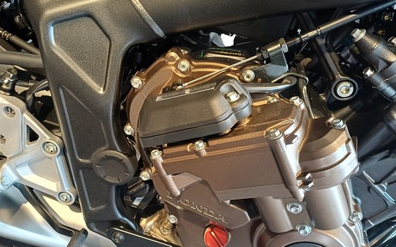 Neufahrzeug Honda CB650R E-Clutch - Bild 4