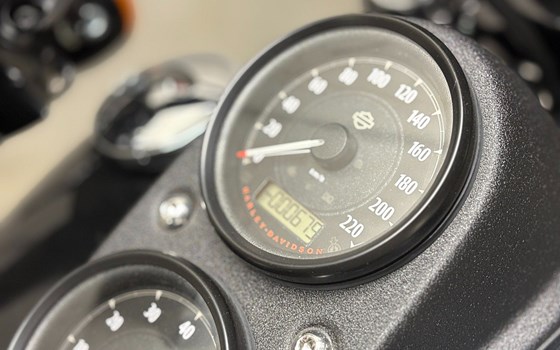 Gebrauchtmotorrad Harley-Davidson Dyna Low Rider S FXDLS - Bild 4