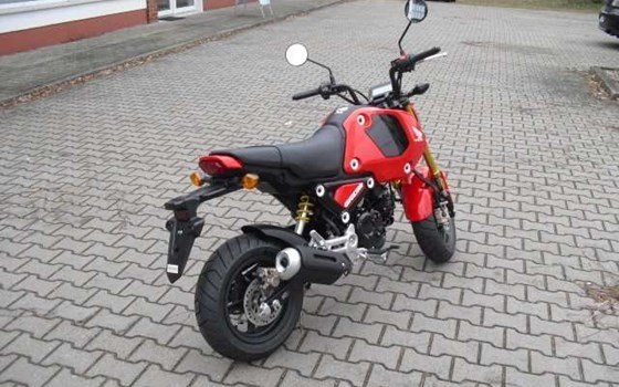 Gebrauchtmotorrad Honda MSX 125 - Bild 3