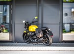 Angebot Moto Guzzi V7 Stone