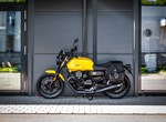 Angebot Moto Guzzi V7 Stone