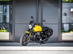 Angebot Moto Guzzi V7 Stone