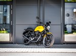Angebot Moto Guzzi V7 Stone