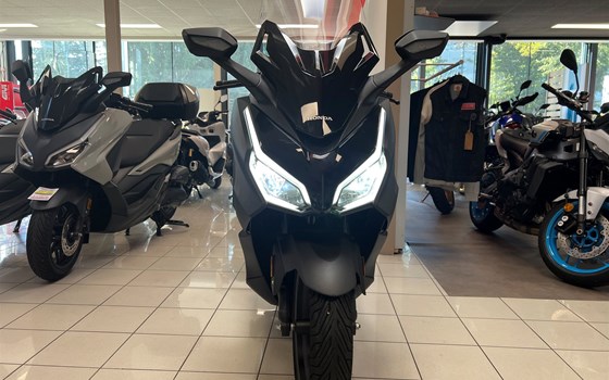 Gebrauchtmotorrad Honda Forza 125 - Bild 2 Gebrauchtmotorrad Honda Forza 125 - Bild 2