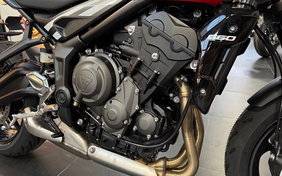 Neufahrzeug Triumph Trident 660 - Bild 10