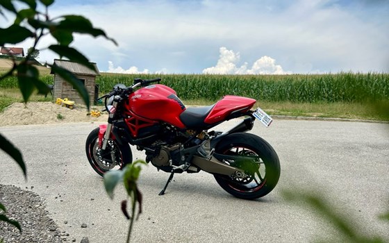 Gebrauchtmotorrad Ducati Monster 821 - Bild 2 Gebrauchtmotorrad Ducati Monster 821 - Bild 2