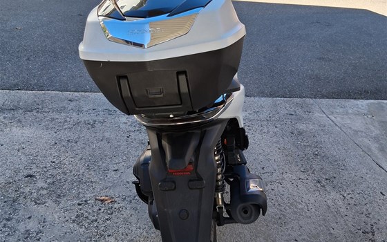 Gebrauchtmotorrad Honda SH125 - Bild 2