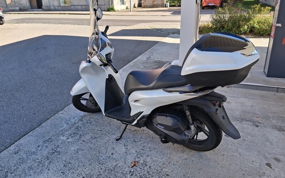 Gebrauchtmotorrad Honda SH125 - Bild 3