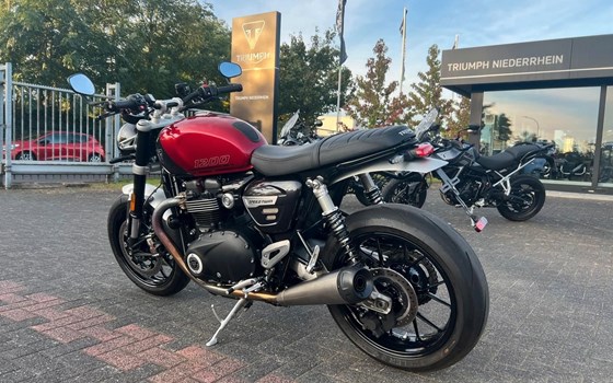 Gebrauchtmotorrad Triumph 5T Speed Twin - Bild 2